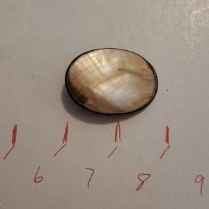 Vintage Mother of Pearl silver brooch/pin